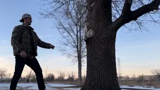 Fimbulwinter