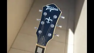 Tagima Blues 3000 and Fender deluxe tweed reissue