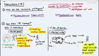 10-5 Tuberculosis (Cambridge AS A Level Biology, 9700)