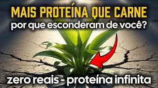 Mais Proteína Que Carne Bovina. Cresce Em Muros. Por Que Sumiram Com Ela Após 1970?