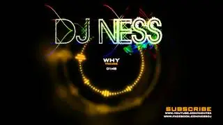 David Whistle - Why