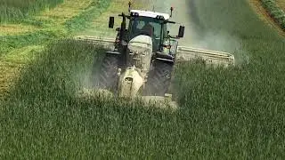 Fendt carrying Claas triple mowers with mergers.
