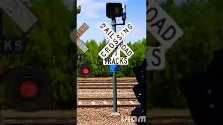 sidewalk Railroad Crossing is killing rush helping tattered railroad Crossings