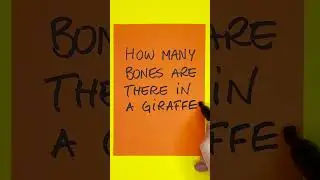 How Many Bones are There in a Giraffe's Neck? #quiz #trivia