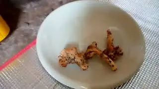 Asmr Cooking, Cooking Recipe, Harvest Beautiful Mushroom, White Oyster Mushrooms, SAM Natural Life