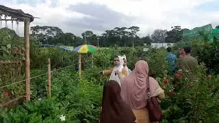A very beautiful scenes of tree plantations fair of Dhaka city in Bangladesh.