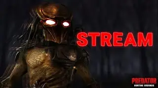 🔴Stream! Patch 2.50 Predator Hunting Grounds | Let's kill predators 16 09 2024