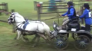 Sara Howe ASHFIELDS NATIONAL GBR 08.2020 Adv. Pony Pair