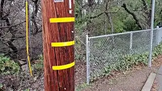 Novato Creek big and muddy at Grant Ave. bridge, Jan. 9, 2023, morning
