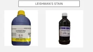Leishman's stain, RBC fluid and WBC fluid
