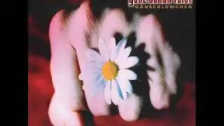 Ganz schön feist - Guter freund