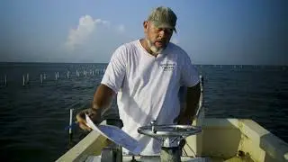 Stop Federal Mud Dumping
