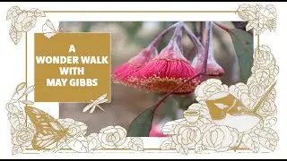 A Week of Wonder: Wonder Walking with May Gibbs in the Australian Bush