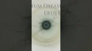 quantum dreams of power / deus ex machina (03) #shorts #shortvideo #short #electronicmusic