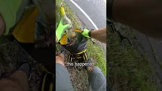 August 18th plog #plogging #running #litter