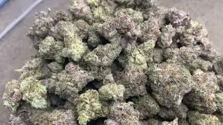 Wholesale THCa Flower: Slapz