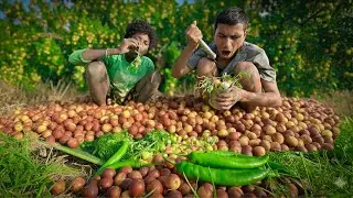 Find Ripe Jujube Fruit For Food | Jujube Fruit With Salt Chilli & Eating Delicious 