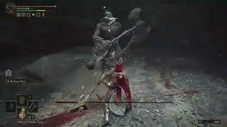 Great Axe too strong. Easy Frenzied Duelist Boss Fight | Elden Ring