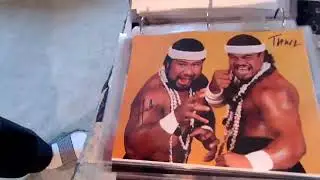 New Wrestling Autographed 8x10s Saturday January 10, 2026: Islanders and Stan Hansen