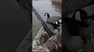 Do you use a kayak to duck hunt?