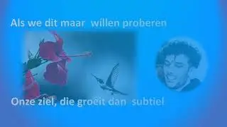 SPEURHOND BEZIELING