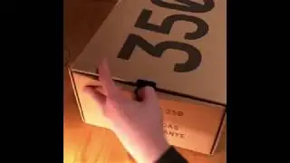 Shoe collection 2019
