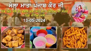 Mela Mata Punjab Kaur Ji || Shabeel Seva Vill. Kanian Kalan || Part-2 || 2024