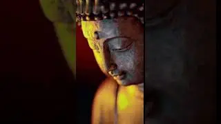 Buddha / Beauty