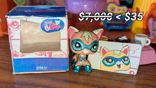 LPS: Comic Con Cat SUPER Cheap Alternative | + Box