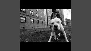 Slum Dogs