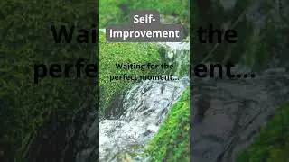 #selfimprovementquotes