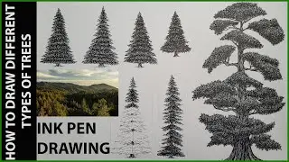 How to Draw Different types of Trees, Ink Pen Drawing Techniques. Step by Step
