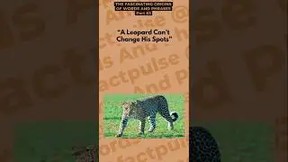 A Leopard Can&rsquo;t Change His Spots | The Fascinating Origins Of Words & Phrases #part63 | #factpulse