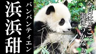 癒しの2分間｜可愛すぎる浜浜甜ちゃん✨