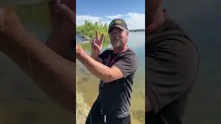 Beautiful World Of Fishing: Aurora Reservoir In Aurora, Colorado: #fishing #world
