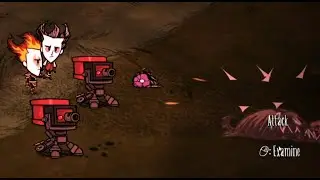 DST Players and Their 