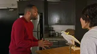 Carmel Crypto Commercial