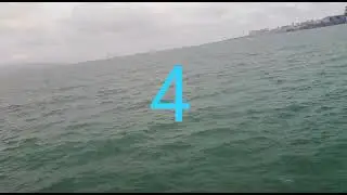 Калиг европага  моряга