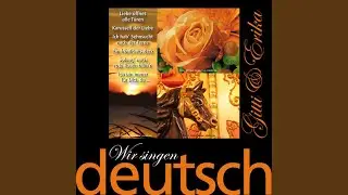 Im Festzelt ist die Hölle los
