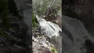 Yellowstone Gibbon Falls
