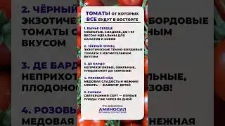 ЭТИ томаты не оставят НИКОГО равнодушным! ЛУЧШИЕ сорта! #урожай #томаты #помидоры