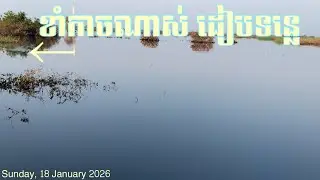 ត្រីដៀបទន្លេកាចៗណាស់_fishing 