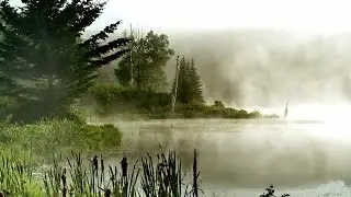 Túri Lui - Senki nem szeret... Videót Tecike Lénárdné szerkesztette.