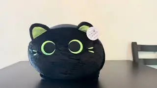 Reviewing the Cutest Black Cat Stuffed Animal! #amazonfinds #plushies #cat