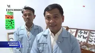 Amazing Museum Serangga Pertama di Bengkulu