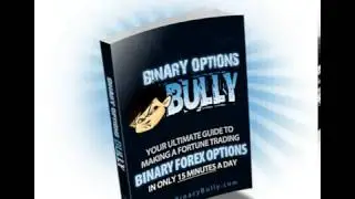 Binary Options Bully Review