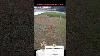 please subscribe kar do #golf #wildlife #youtubeshorts #shortvideo #trending #animals #funny #love