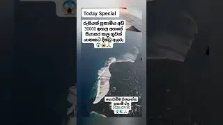 Tsunami Hits Russia Today 🌊🇷🇺 #russia #shorts #viral #trending #fyp #viralvideo #trendingshorts #new