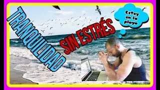 🎼Musica  TRANQUILA 🌊 OLAS  del MAR GAVIOTAS🎶Sonido para modular el SISTEMA INMUNOLOGICO😴(3 MNT)