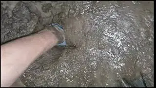 Waders sinking in potato quicksand 